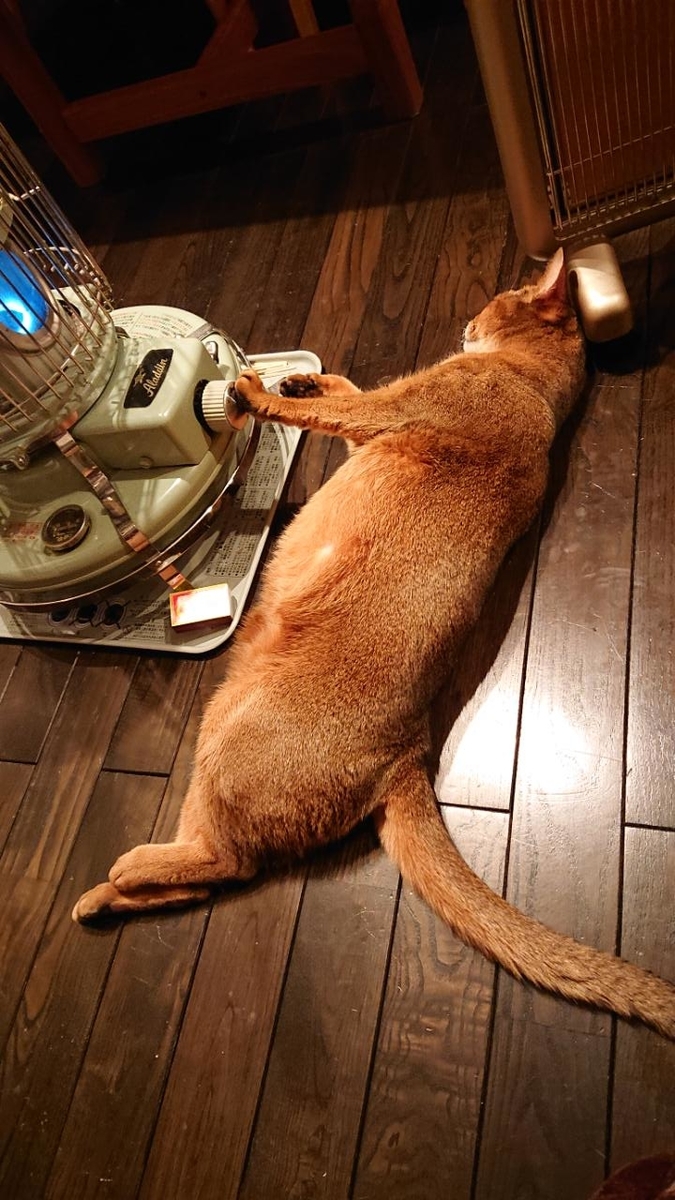 f:id:gobuichikun:20210204010155j:plain