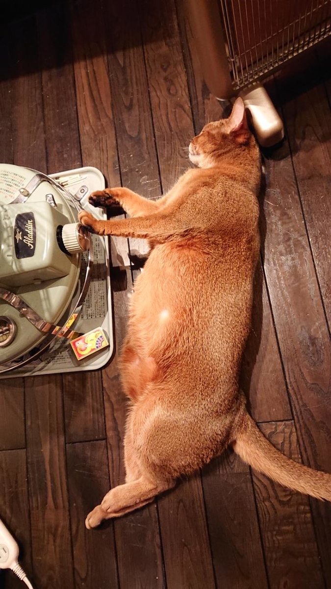 f:id:gobuichikun:20210204010224j:plain