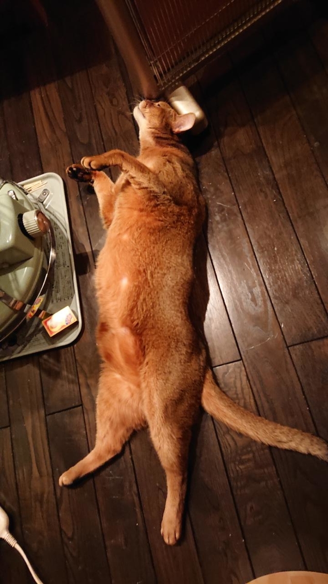 f:id:gobuichikun:20210204010321j:plain