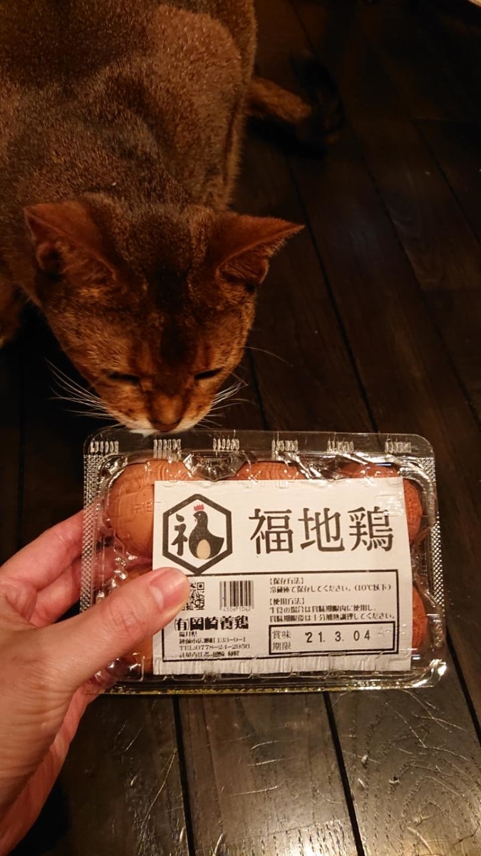 f:id:gobuichikun:20210211013601j:plain