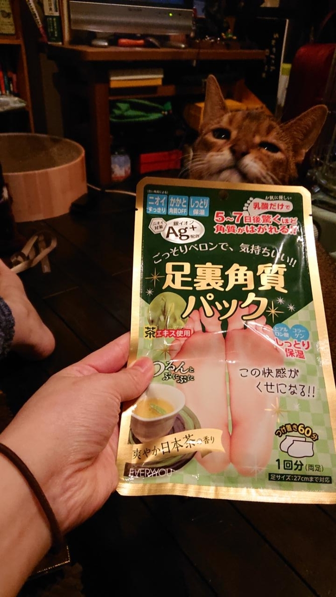 f:id:gobuichikun:20210211013629j:plain