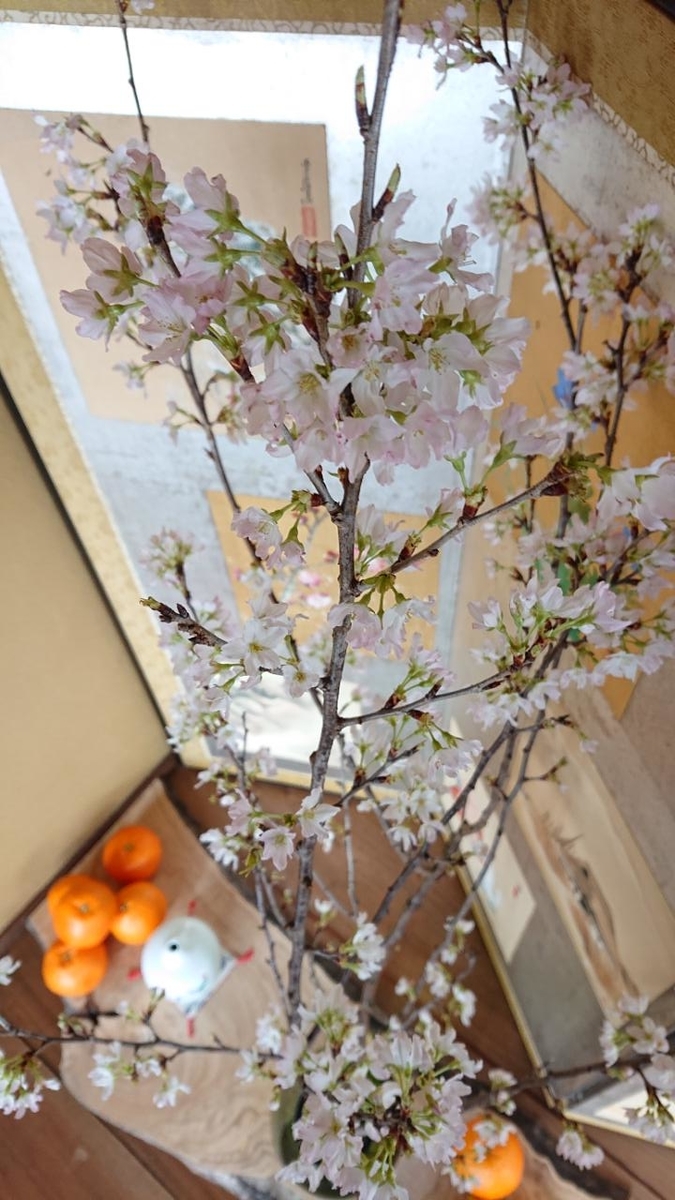 f:id:gobuichikun:20210220140153j:plain