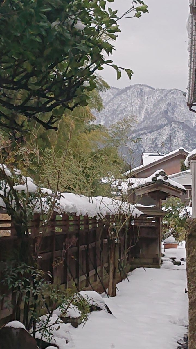 f:id:gobuichikun:20210220140336j:plain
