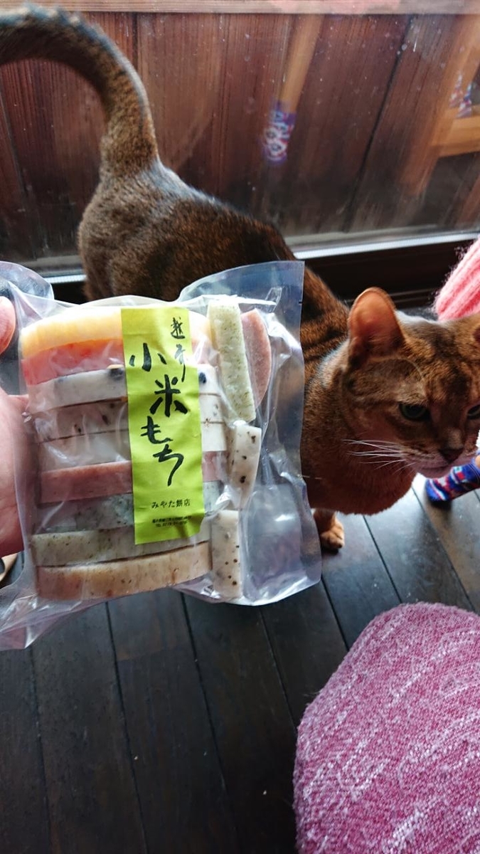 f:id:gobuichikun:20210227122308j:plain
