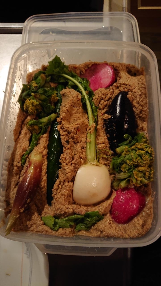 f:id:gobuichikun:20210311180607j:plain