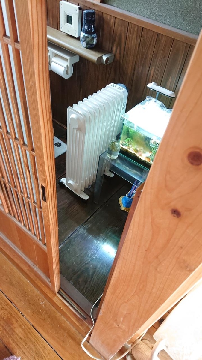 f:id:gobuichikun:20210319195440j:plain