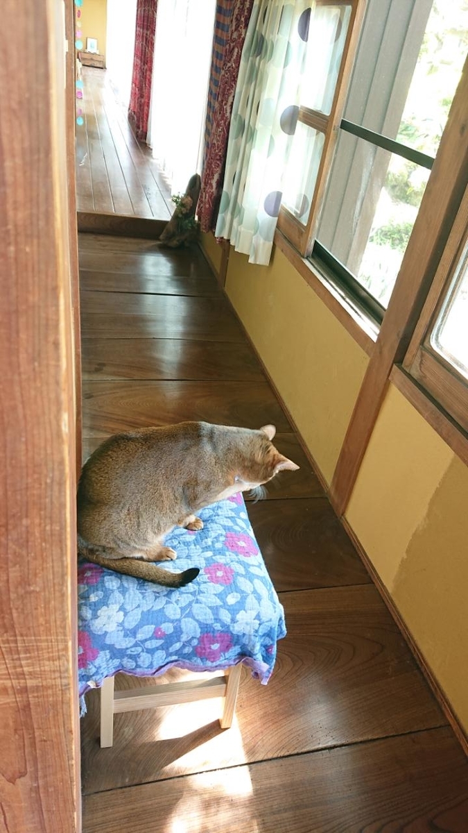 f:id:gobuichikun:20210424223754j:plain