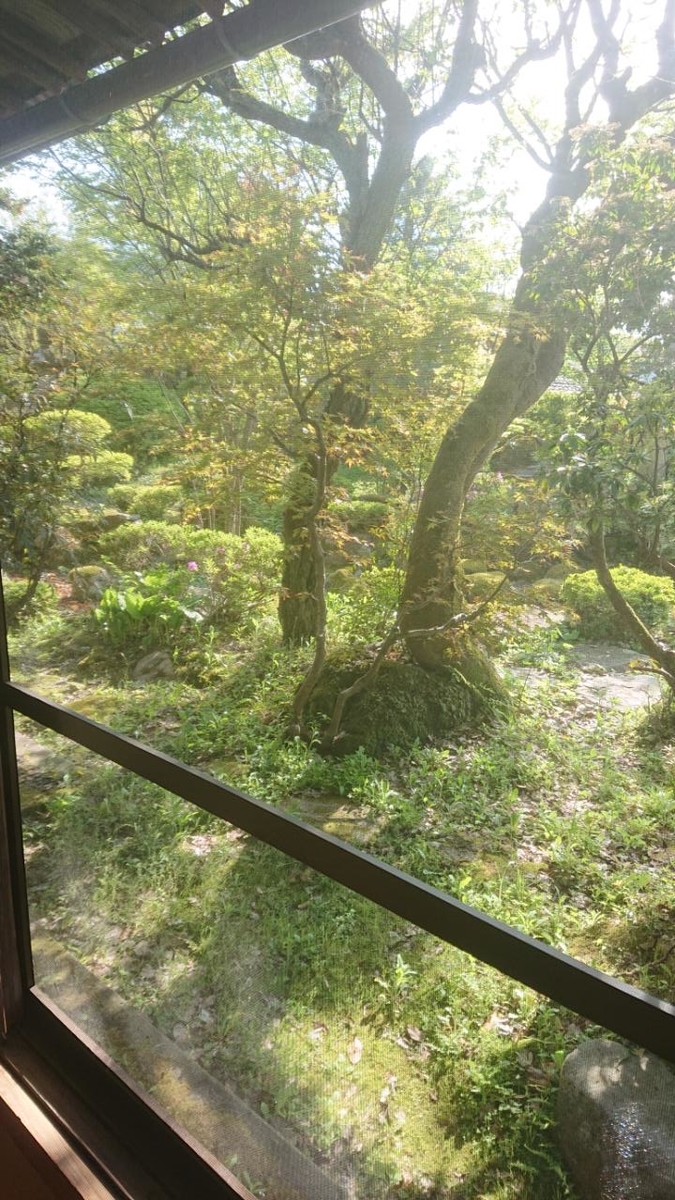 f:id:gobuichikun:20210424223928j:plain