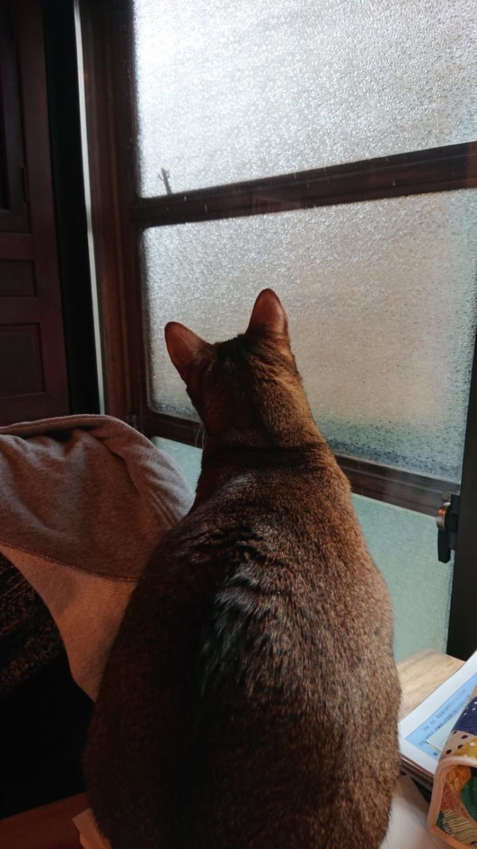 f:id:gobuichikun:20210518015306j:plain