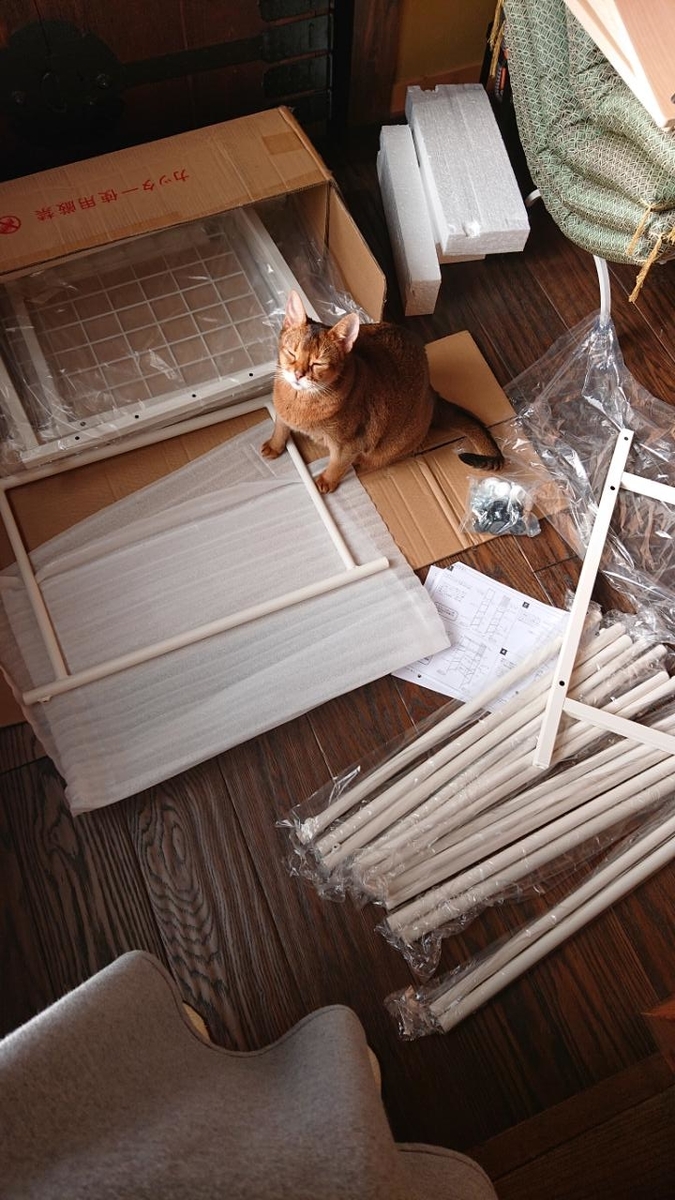 f:id:gobuichikun:20210522233722j:plain