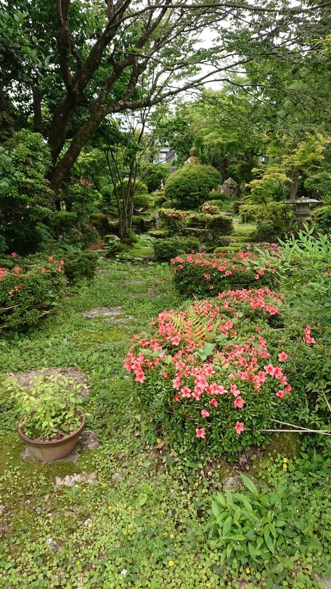 f:id:gobuichikun:20210527005016j:plain