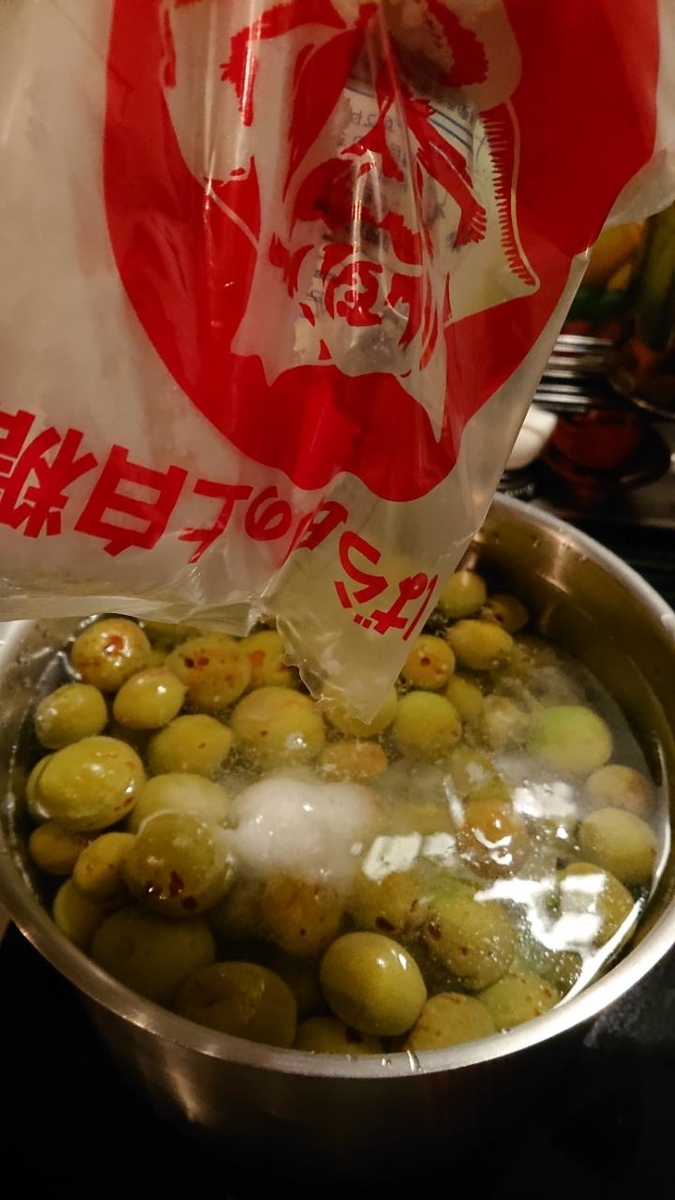 f:id:gobuichikun:20210615015843j:plain