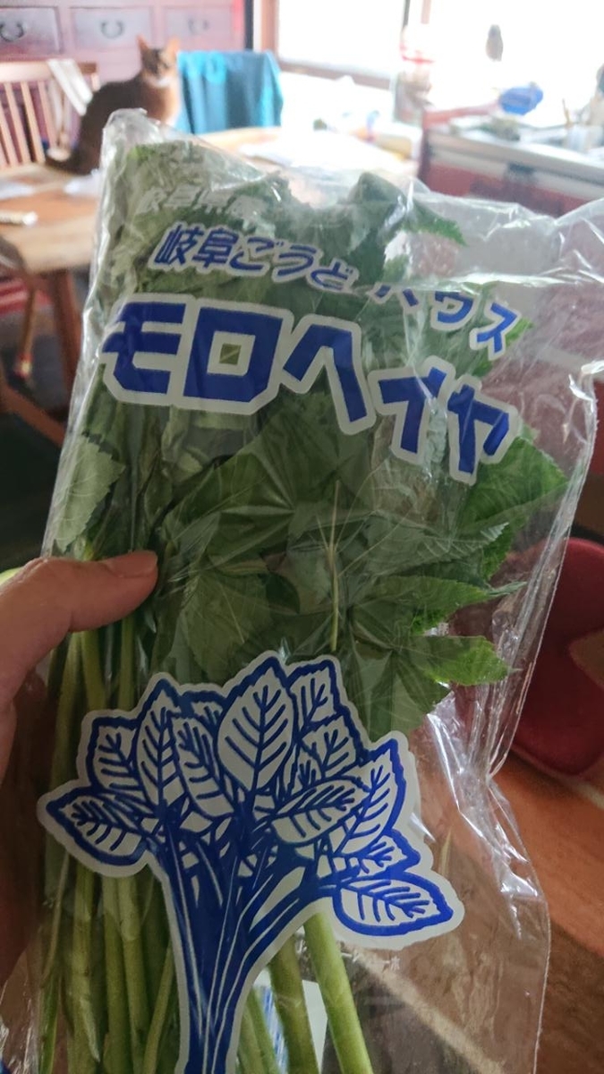 f:id:gobuichikun:20210623235954j:plain