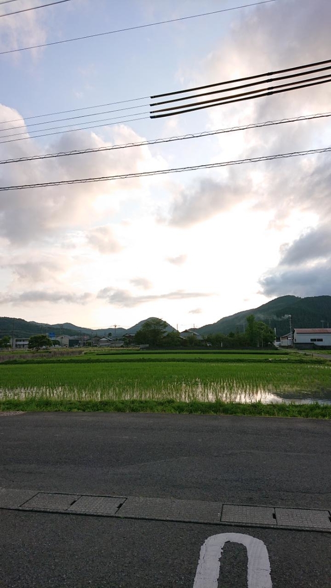 f:id:gobuichikun:20210628142855j:plain