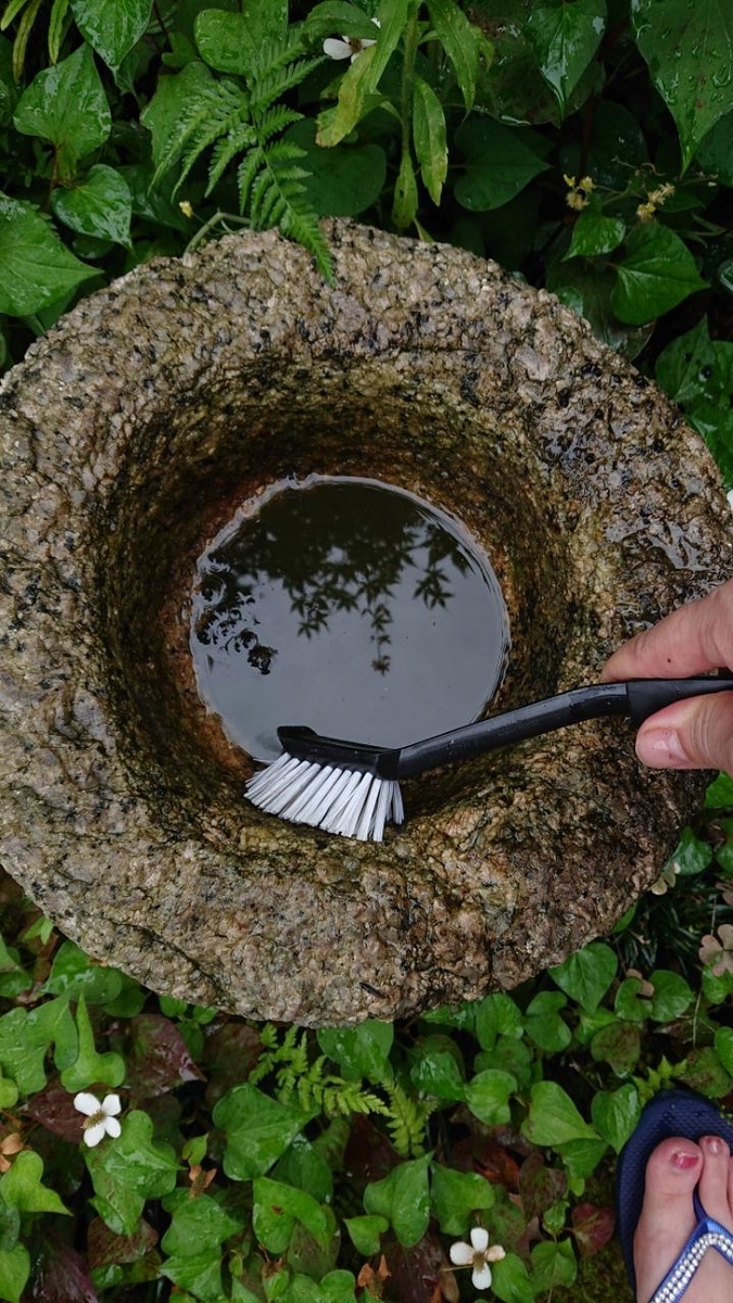 f:id:gobuichikun:20210629122006j:plain