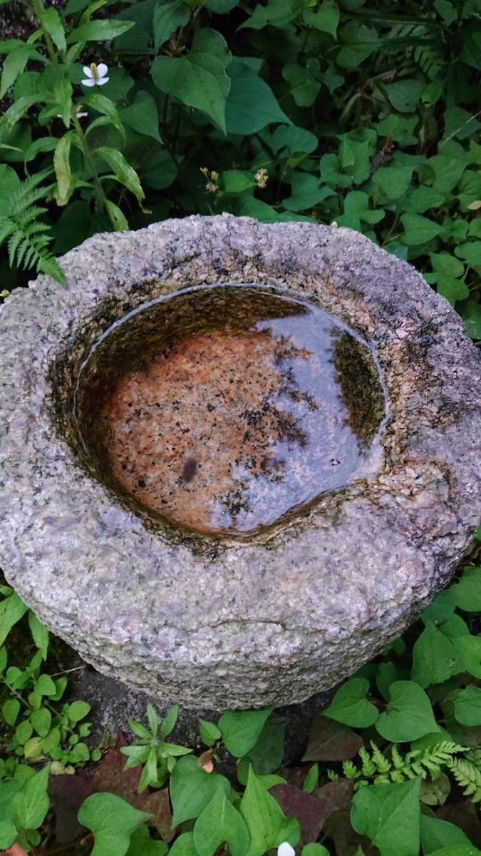 f:id:gobuichikun:20210629122019j:plain