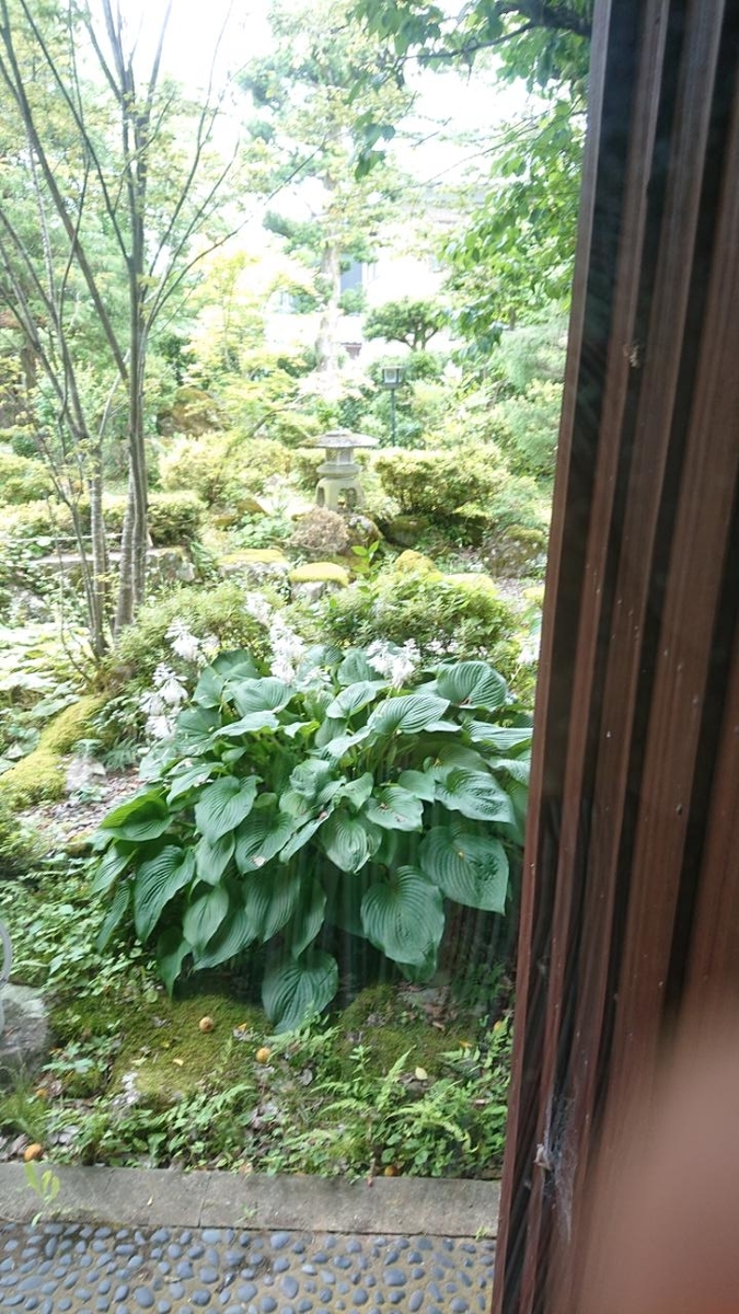 f:id:gobuichikun:20210701181525j:plain
