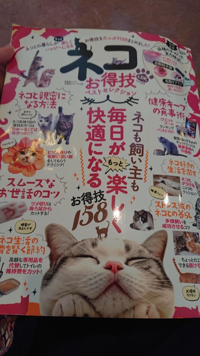 f:id:gobuichikun:20210713131304j:plain