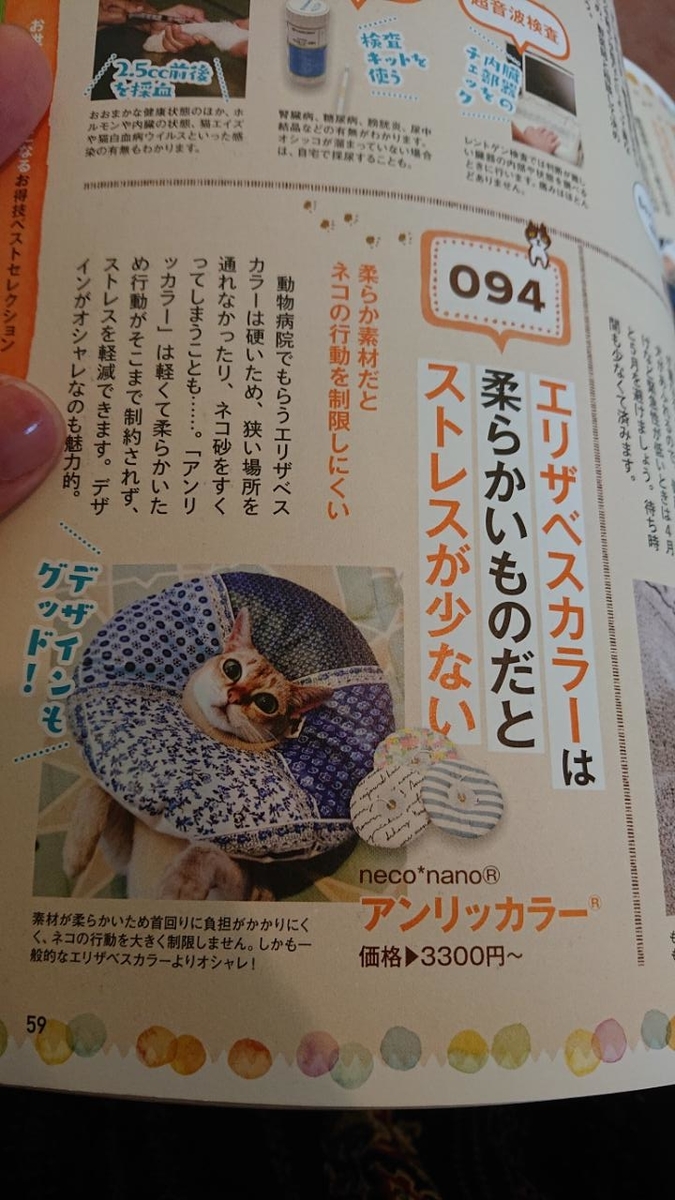 f:id:gobuichikun:20210713131352j:plain