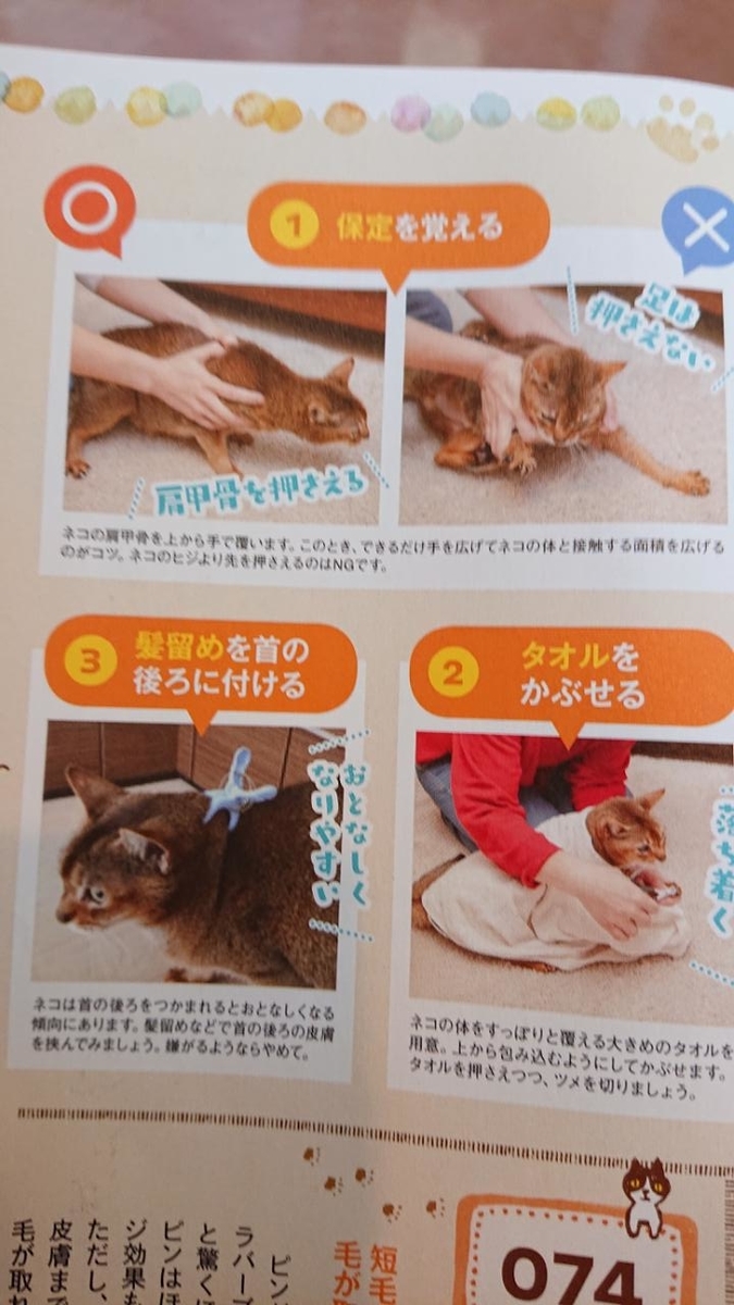 f:id:gobuichikun:20210713131408j:plain