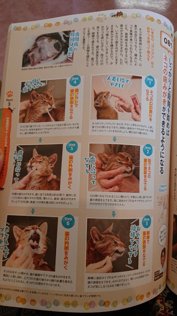 f:id:gobuichikun:20210713131439j:plain