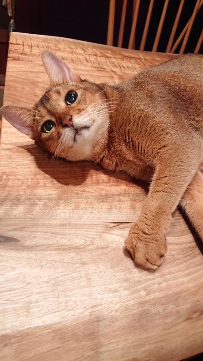 f:id:gobuichikun:20210713131625j:plain