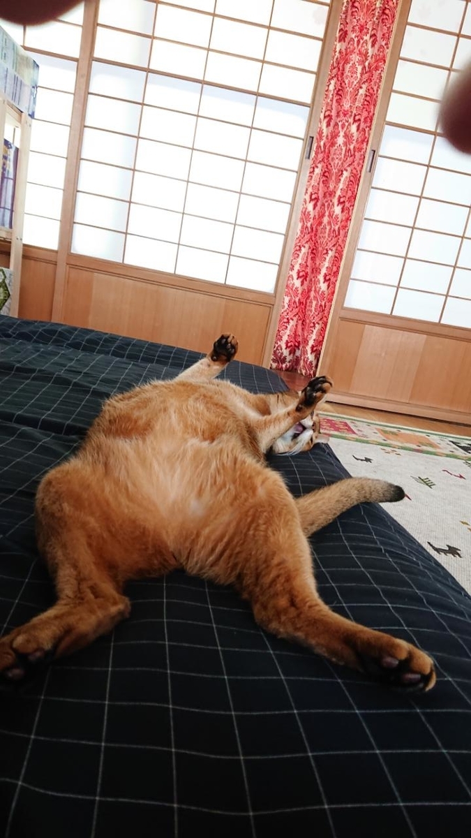 f:id:gobuichikun:20210716142859j:plain