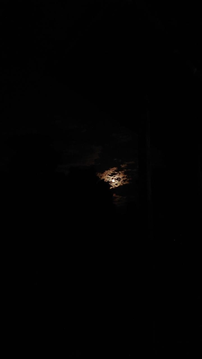 f:id:gobuichikun:20210720112644j:plain