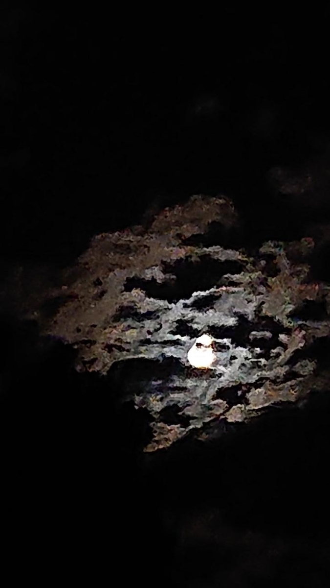 f:id:gobuichikun:20210720112706j:plain
