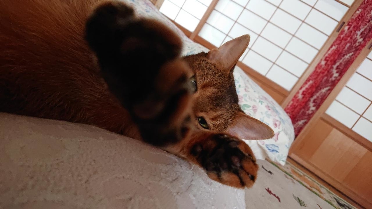f:id:gobuichikun:20210822214109j:plain