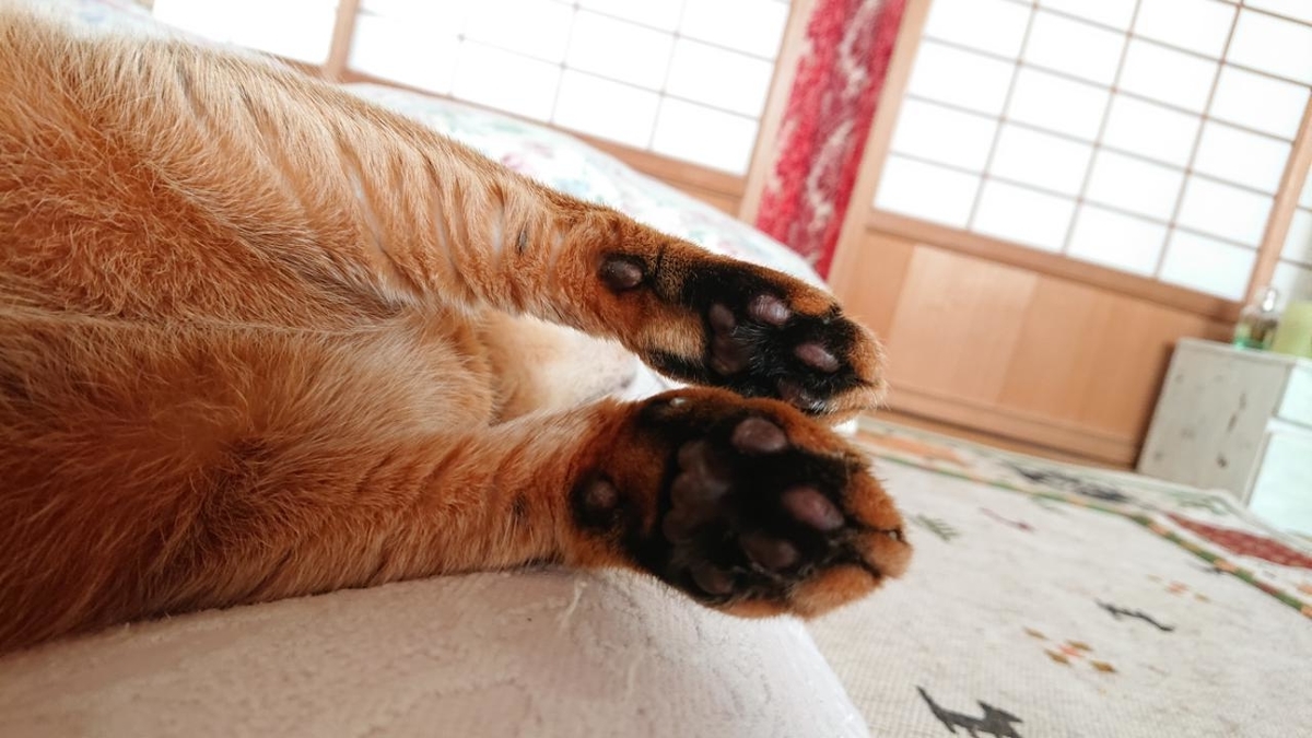 f:id:gobuichikun:20210825130759j:plain