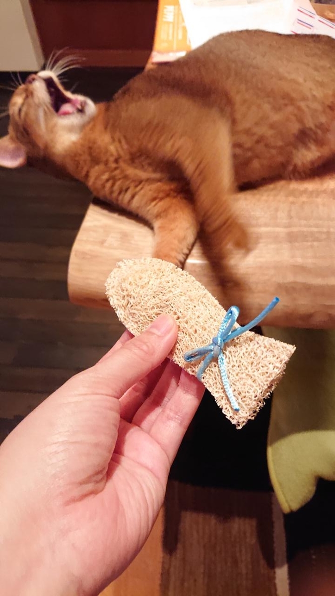 f:id:gobuichikun:20210830115622j:plain