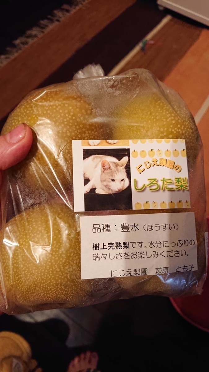 f:id:gobuichikun:20210905192614j:plain