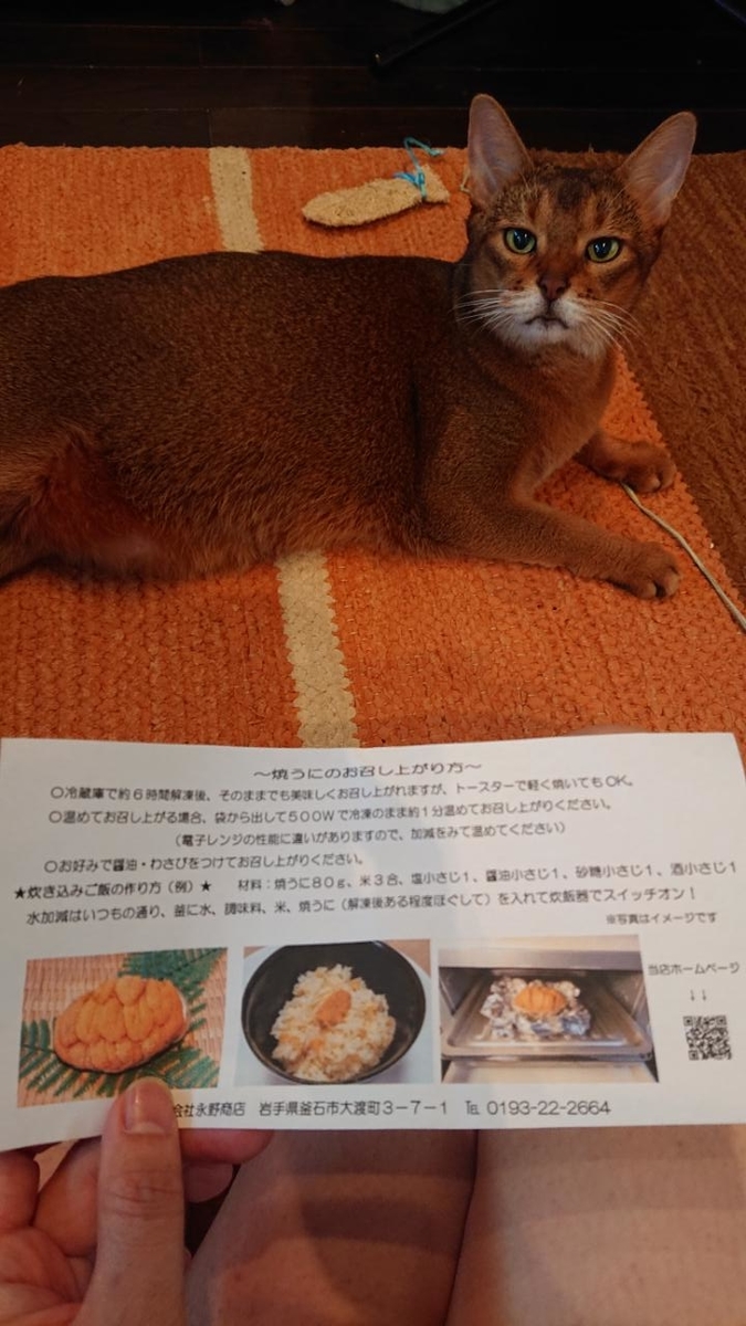 f:id:gobuichikun:20210926213629j:plain