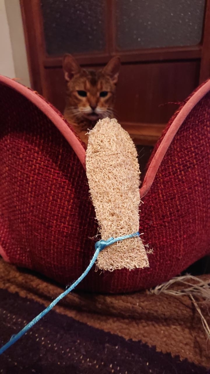 f:id:gobuichikun:20210930004924j:plain