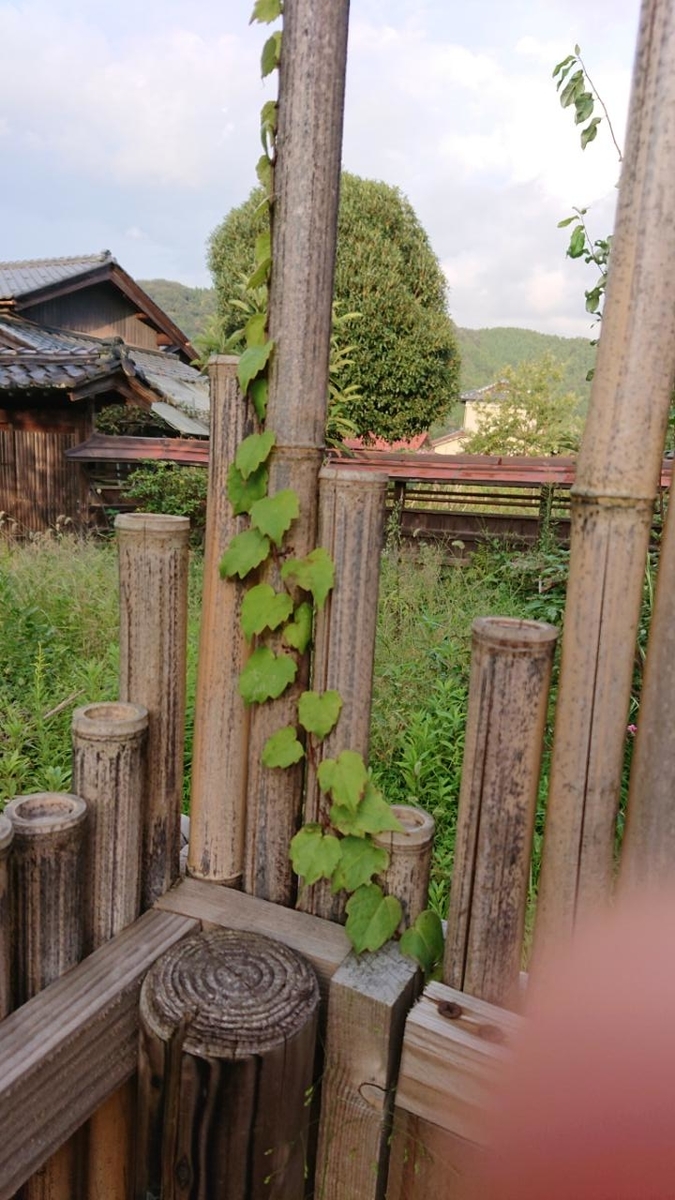 f:id:gobuichikun:20211006234452j:plain