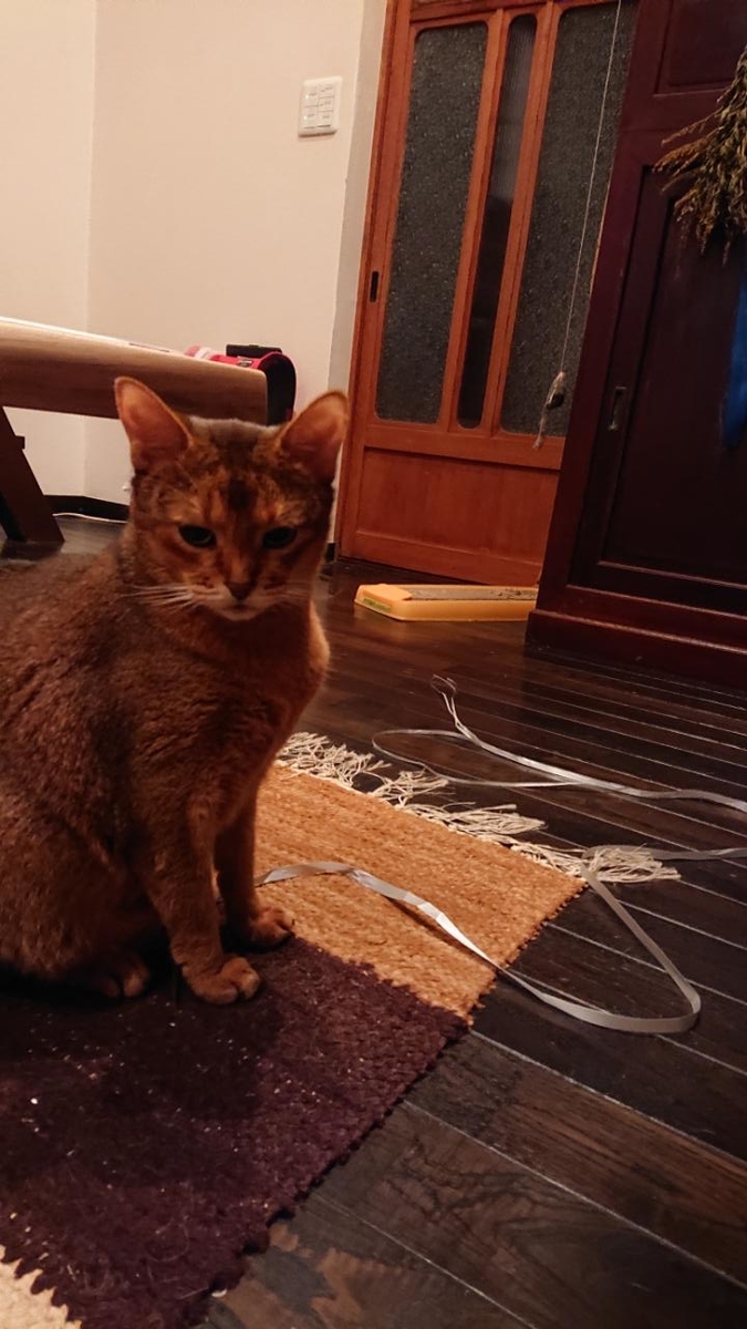 f:id:gobuichikun:20211020130037j:plain