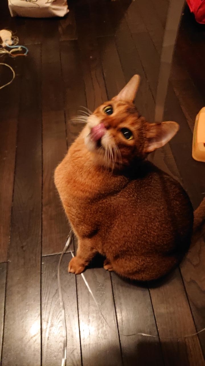 f:id:gobuichikun:20211020130135j:plain