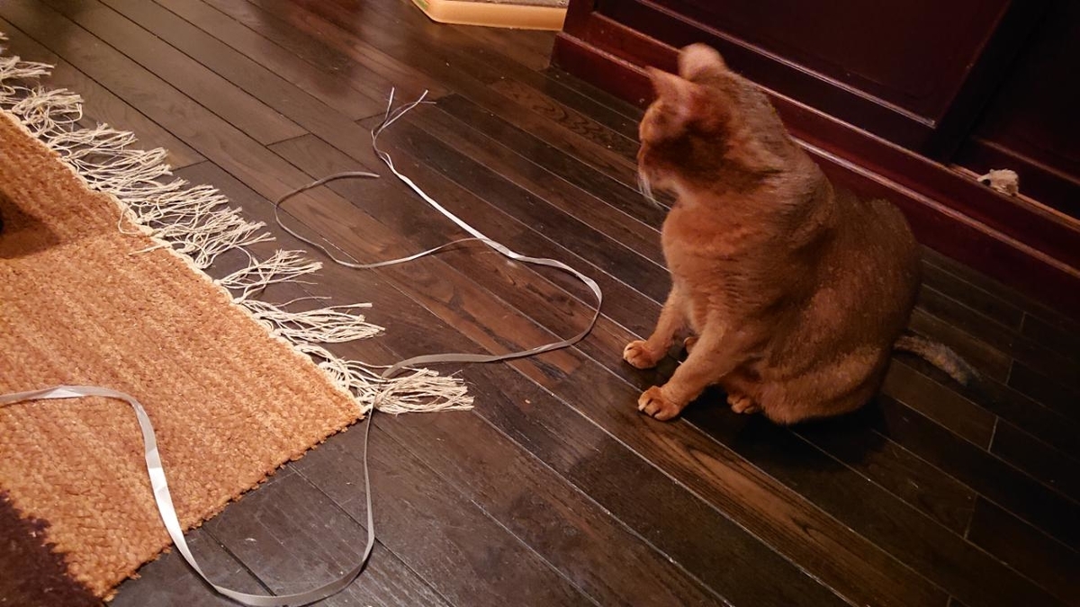 f:id:gobuichikun:20211020130250j:plain