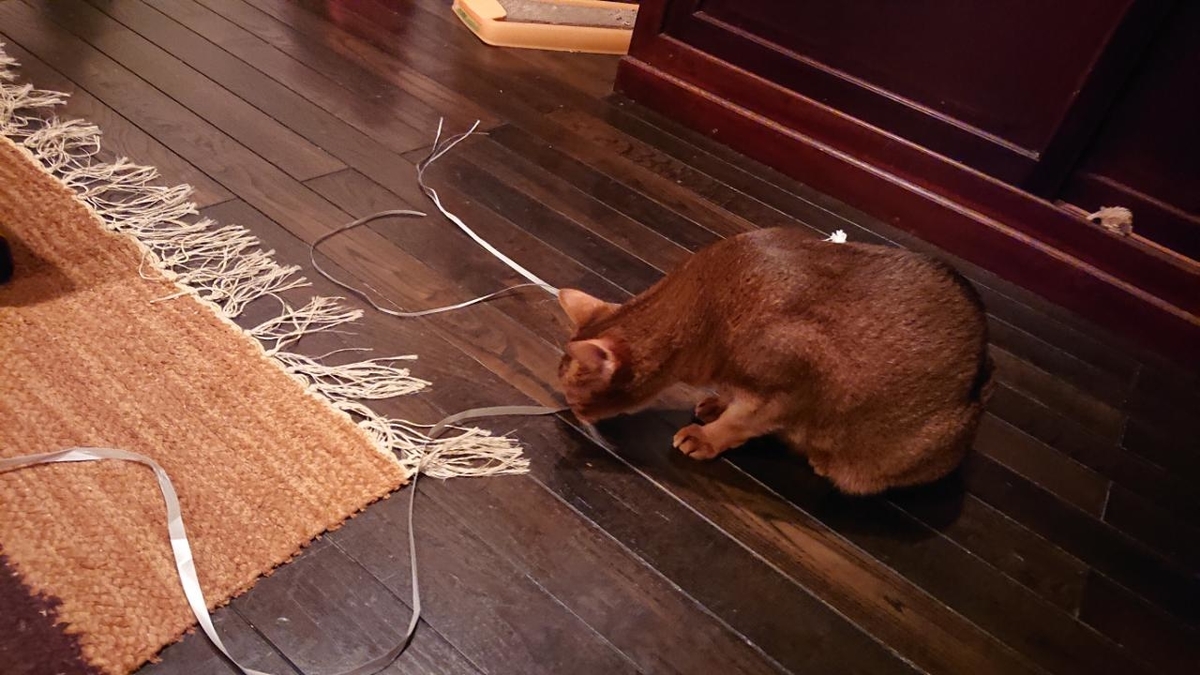 f:id:gobuichikun:20211020130258j:plain