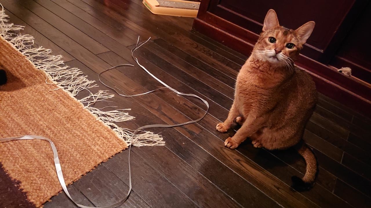 f:id:gobuichikun:20211020130307j:plain