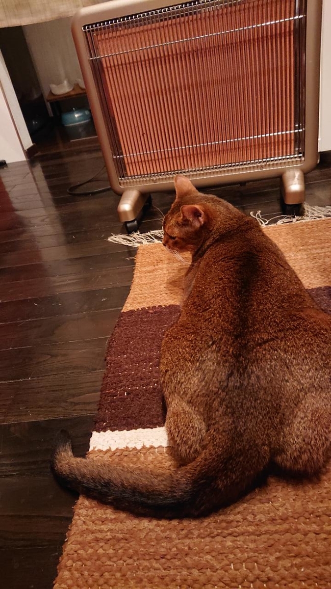 f:id:gobuichikun:20211104121610j:plain