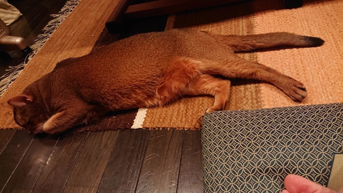 f:id:gobuichikun:20211104121637j:plain