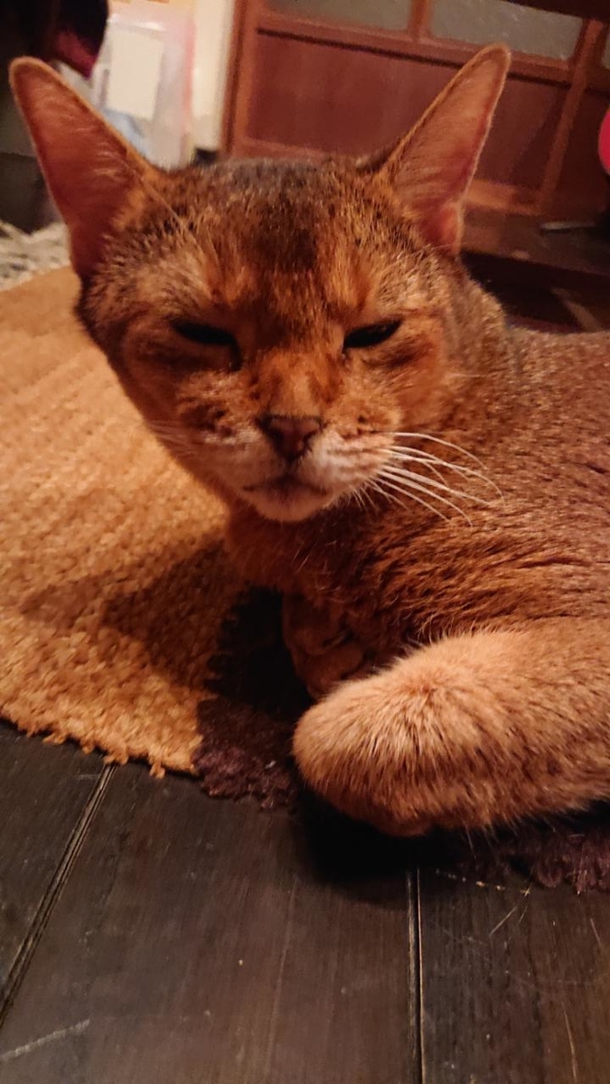 f:id:gobuichikun:20211104121645j:plain