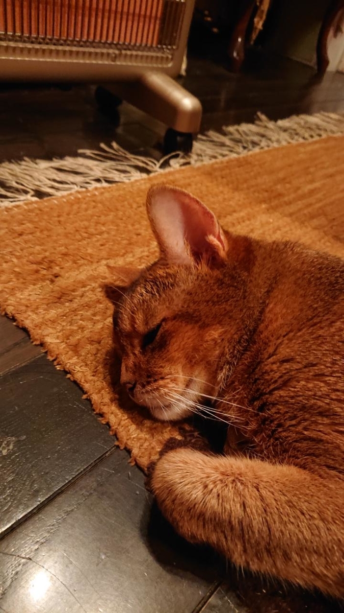 f:id:gobuichikun:20211104121704j:plain