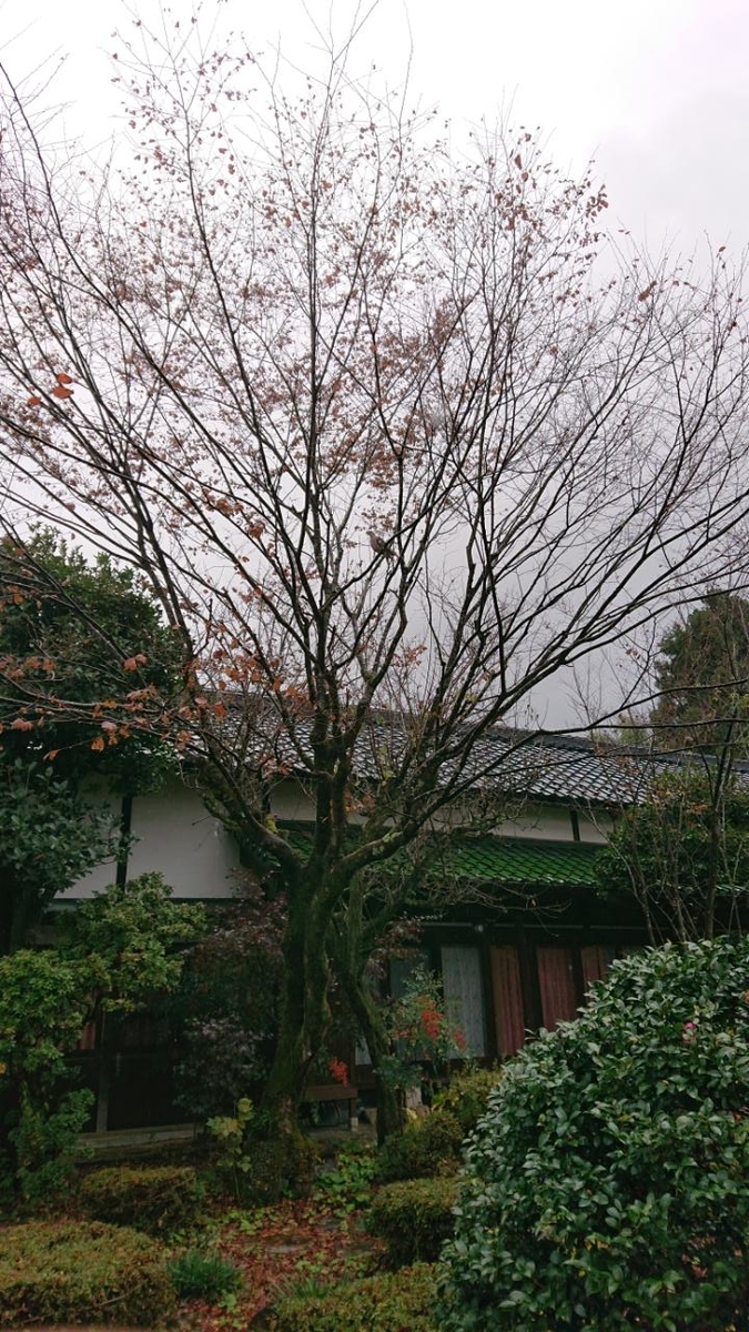 f:id:gobuichikun:20211113011421j:plain