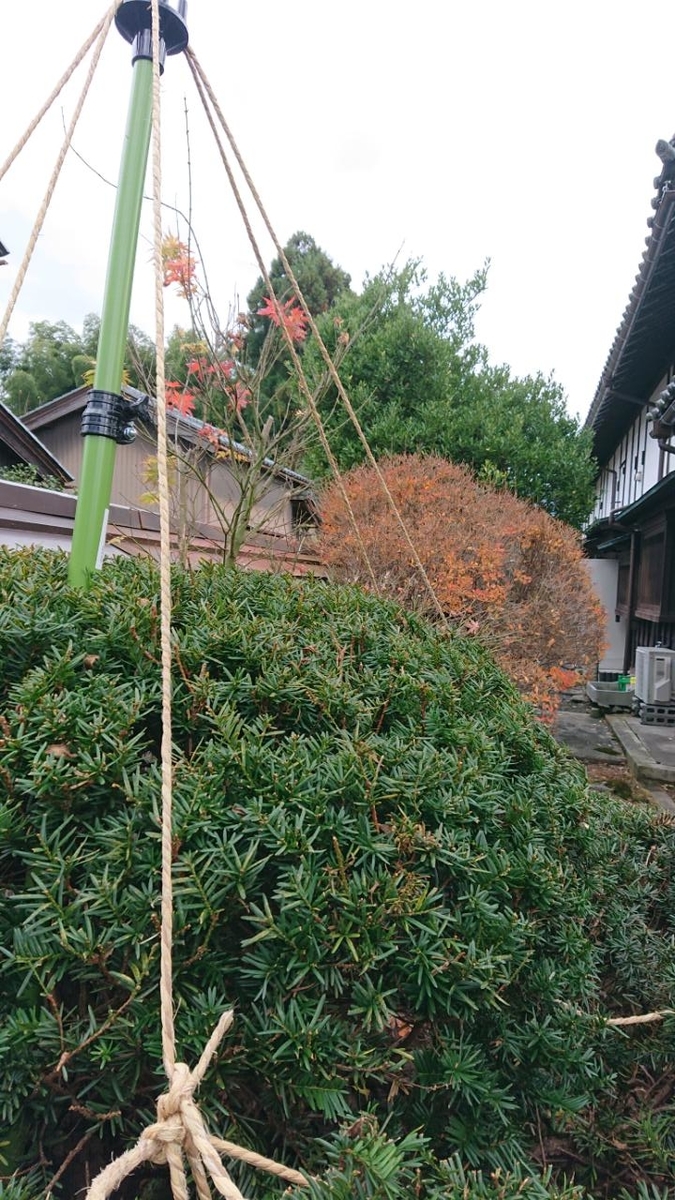 f:id:gobuichikun:20211216230010j:plain