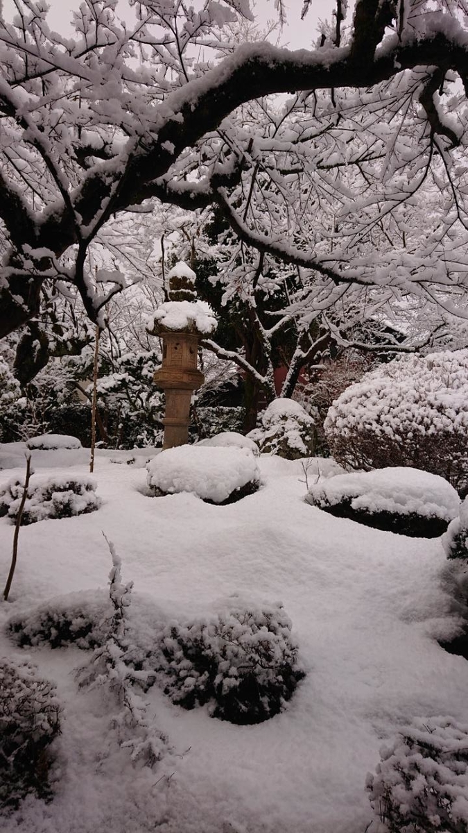 f:id:gobuichikun:20220111121144j:plain