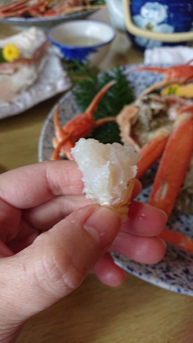 f:id:gobuichikun:20220124102107j:plain