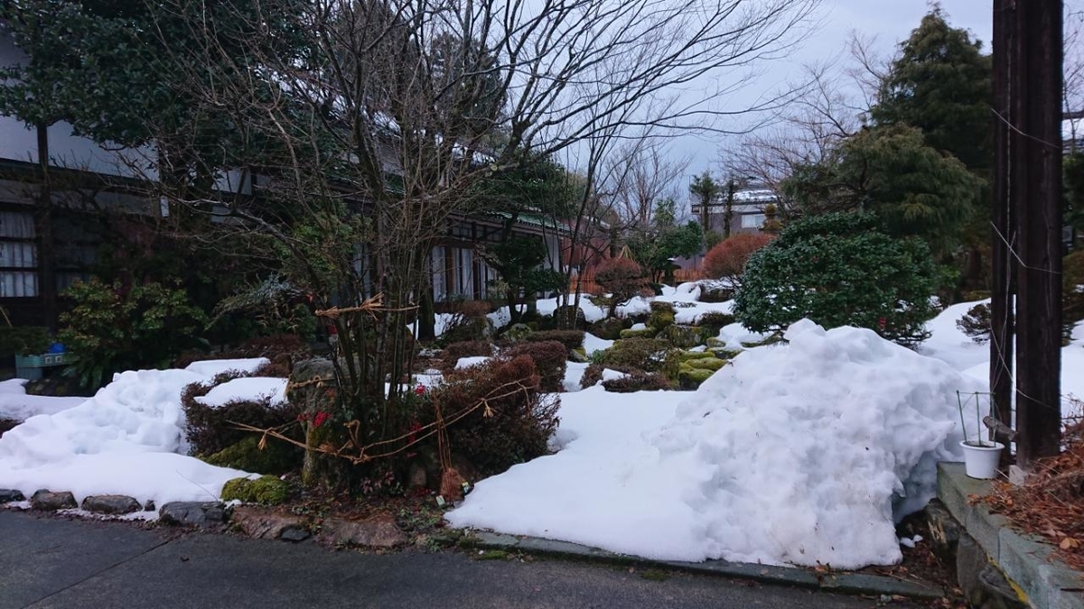 f:id:gobuichikun:20220204131106j:plain